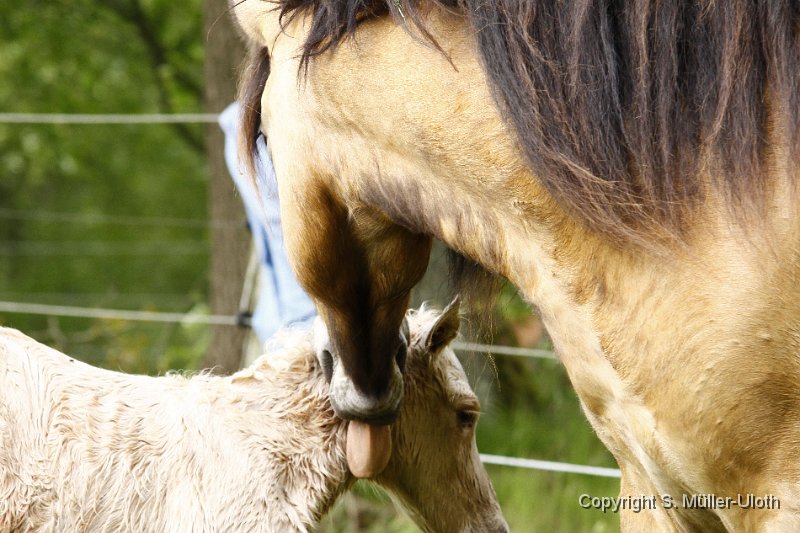 Hjoerdis 24 Min alt (11).JPG